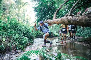 BIB: 
                            <button type="button" onclick="openModal(25443680)" class="btn btn-primary btn-sm float-right btn-popup" data-toggle="modal" data-target=".modal-high-quality">
                        <i class="fas fa-shopping-cart"></i> Add to Cart
                    </button>
                                            <button type="button" onclick="isThisMe(25443680, true)" class="btn btn-success btn-sm float-right btn-popup btn-isme hidden" data-toggle="tooltip" data-placement="bottom" title="นี่คือรูปของคุณใช่ไหม คลิกที่นี่เพื่อเอาเข้าอัลบั้ม">
                        <i class="fas fa-plus"></i> Add to album
                    </button>
                    <button type="button" onclick="isThisMe(25443680, false)" class="btn btn-warning btn-sm float-right btn-popup btn-isnotme hidden">
                        <i class="fas fa-ban"></i> Remove from album
                    </button>